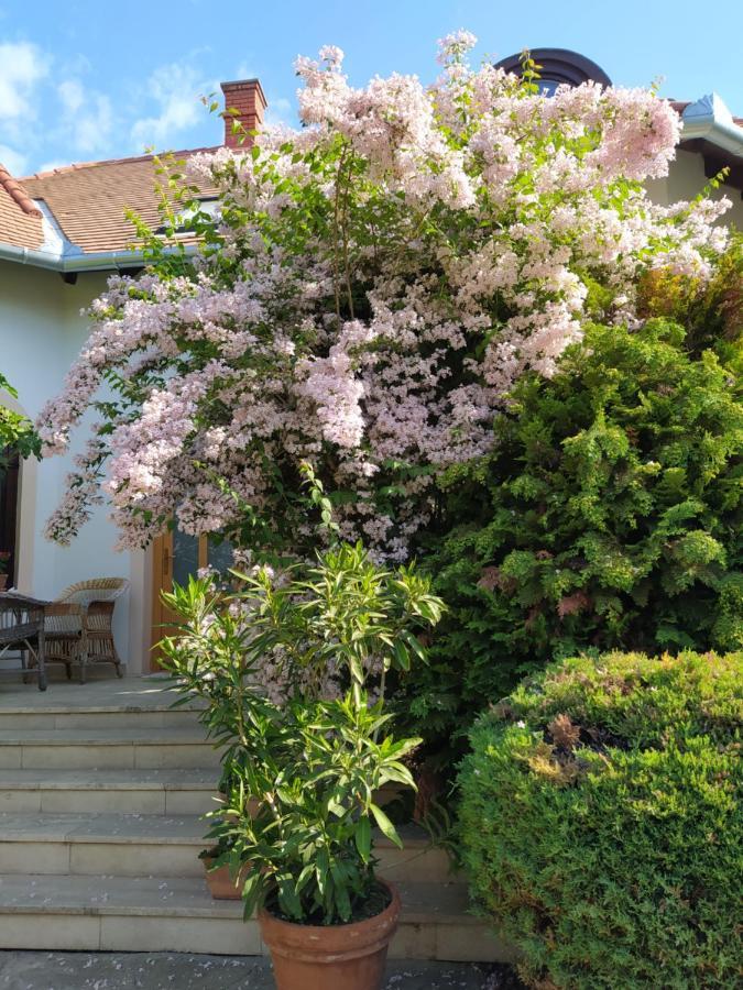 Frutta Villa Cserszegtomaj Luaran gambar